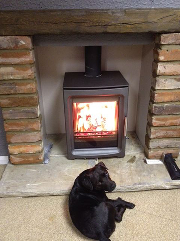 An adorable dog taking a rest infront of one of our fireplaces